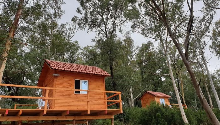 Sans titre 2022 12 06T101708.357