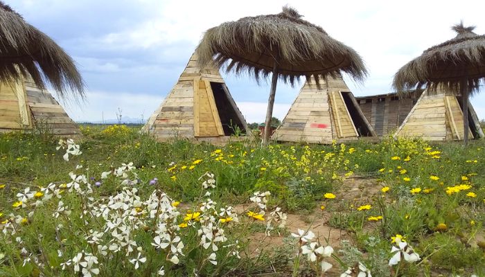 Sans titre 2022 12 06T101753.629