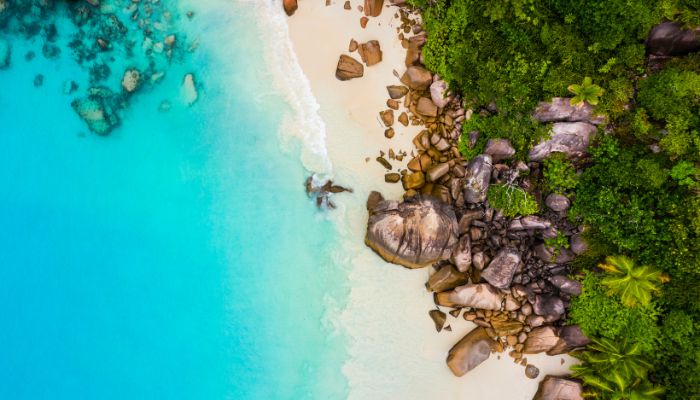 Sans titre 2023 01 25T105526.948